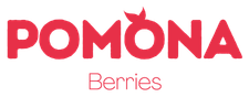 Pomona Berries