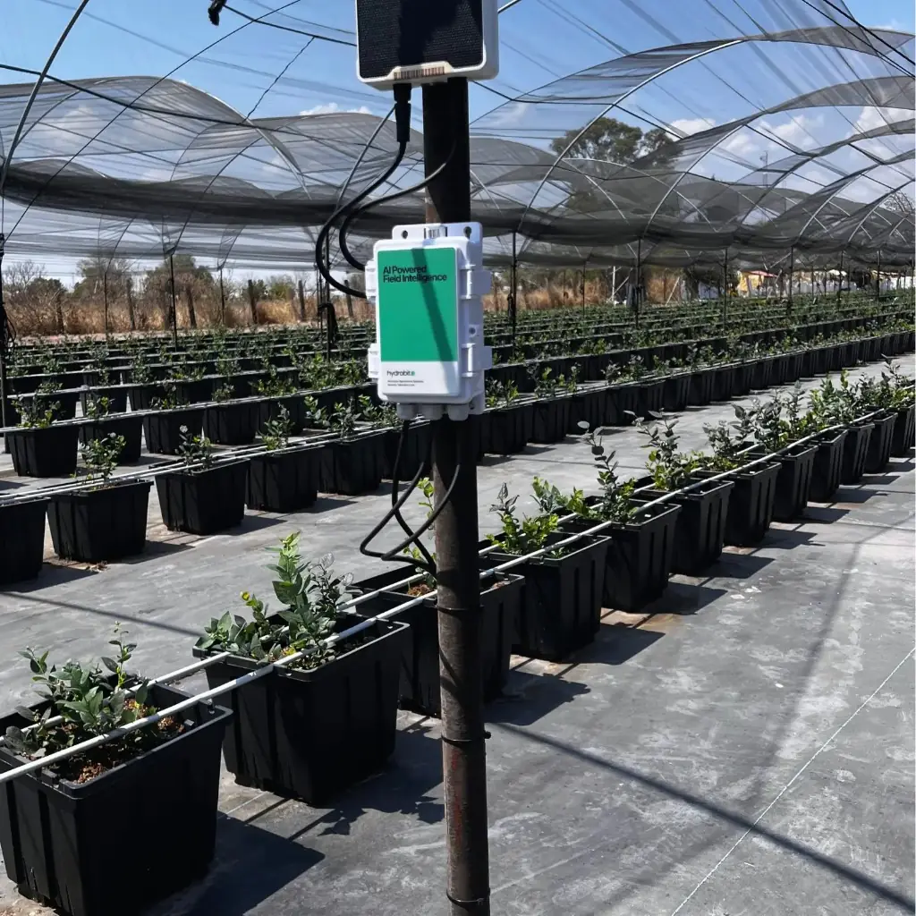 Monitoreo basado en sensores en campo
