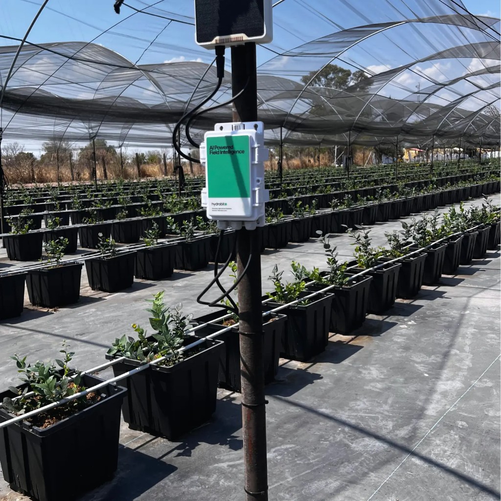Monitoreo basado en sensores en campo